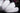 Elegant | Automatische dames riem | Wit